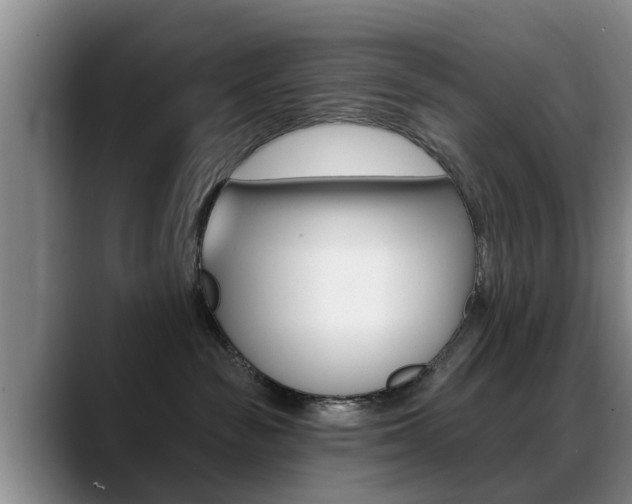 X0000089390189200706150939