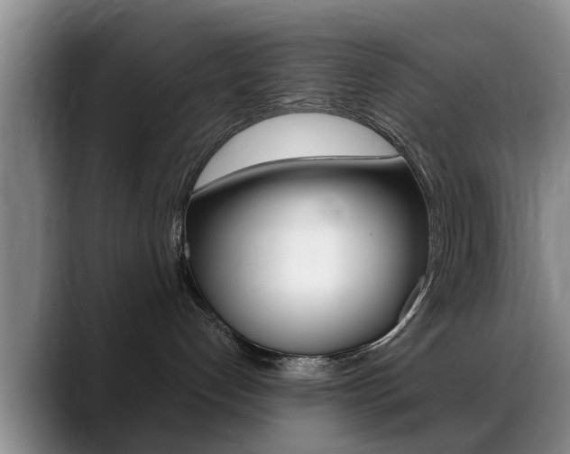 X0000089390192200706150939