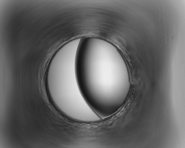 X0000089390193200706150938