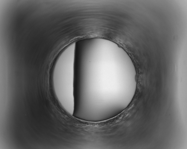 X0000089390194200706150938