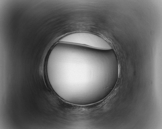 X0000089390195200706150938