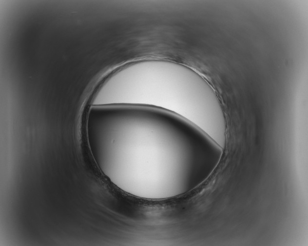 X0000089390200200706150938