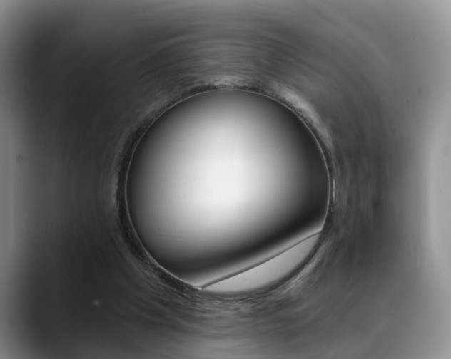 X0000089390201200706150938