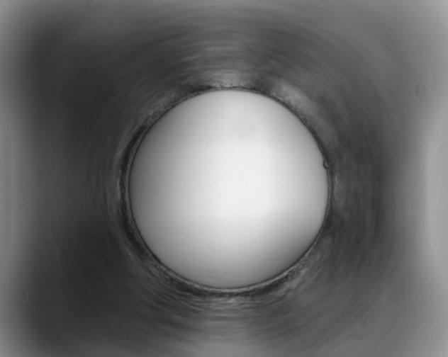 X0000089390202200706150938