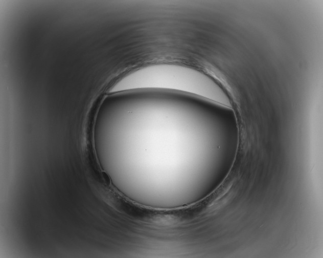 X0000089390203200706150938