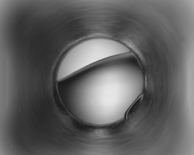X0000089390204200706150938