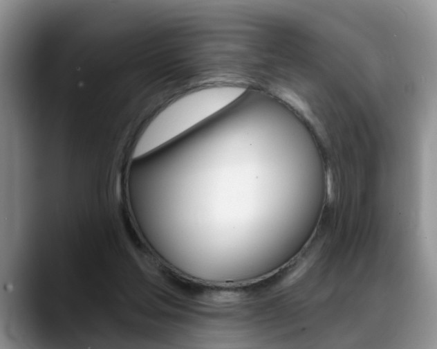 X0000089390205200706150938