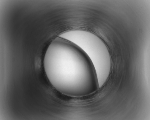 X0000089390211200706150938