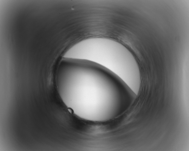 X0000089390212200706150938