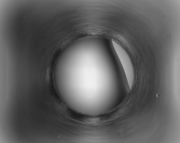 X0000089390217200706150938