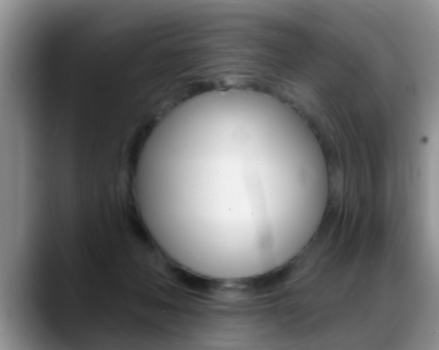 X0000089390222200706150938