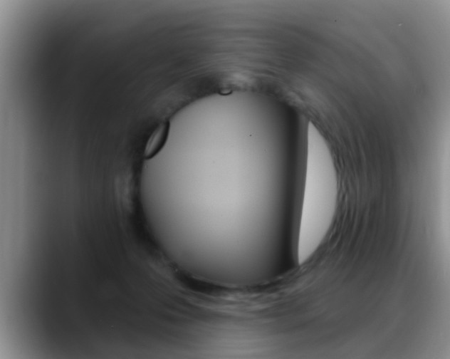 X0000089390223200706150938