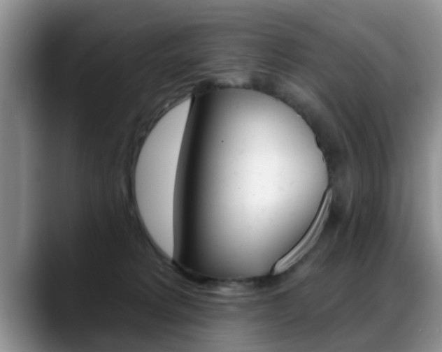 X0000089390229200706150937