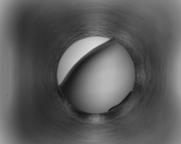 X0000089390231200706150937
