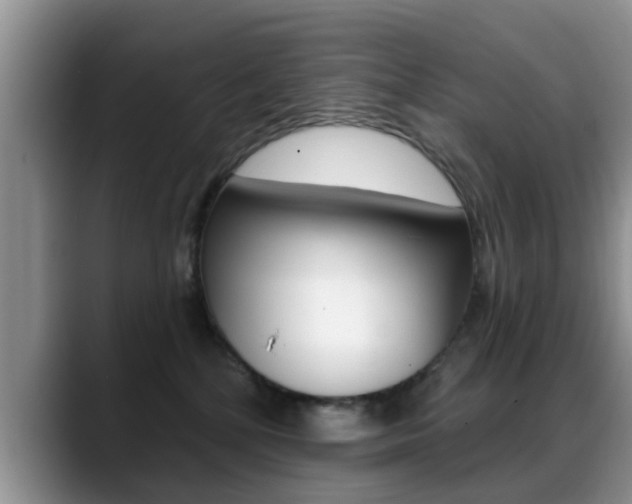 X0000089390232200706150937