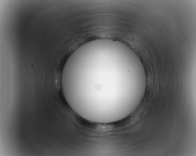 X0000089390234200706150937