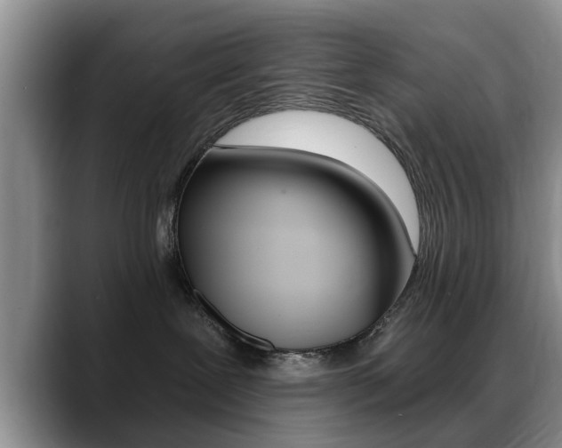 X0000089390239200706150937