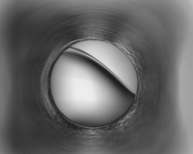 X0000089390241200706150937
