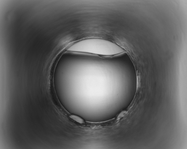 X0000089390243200706150937