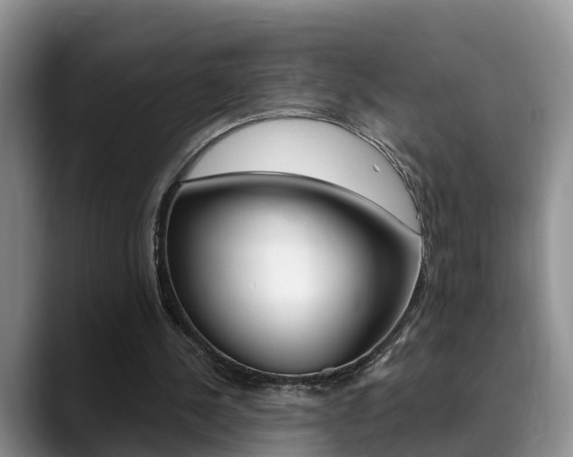 X0000089390244200706150937