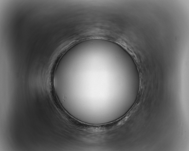 X0000089390245200706150937