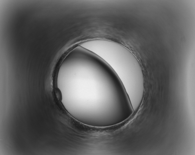 X0000089390246200706150937
