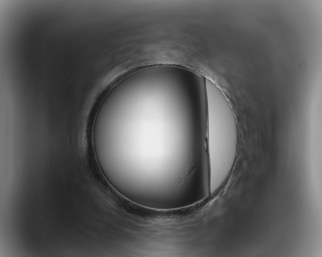 X0000089390248200706150937