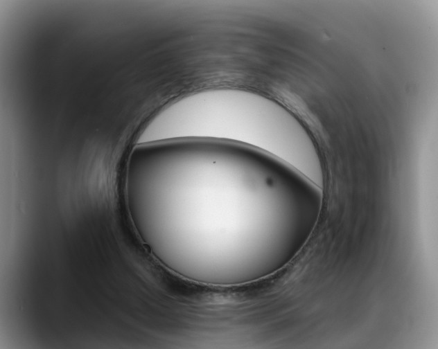 X0000089390250200706150937