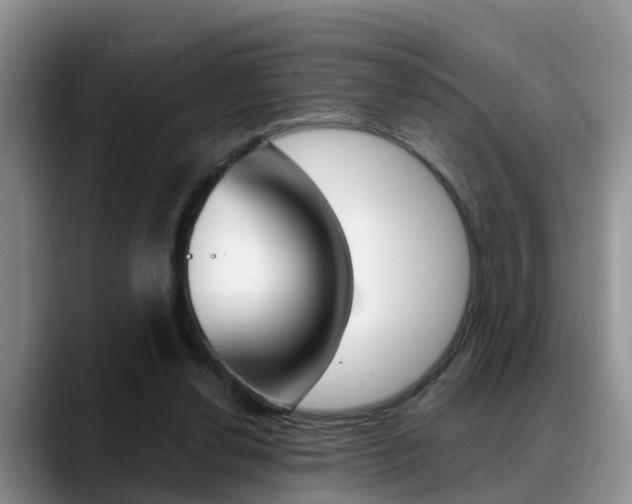 X0000089390252200706150937