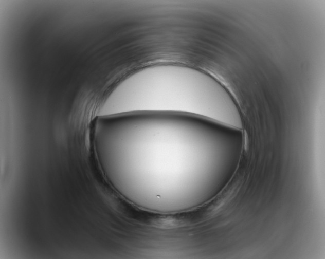 X0000089390253200706150937
