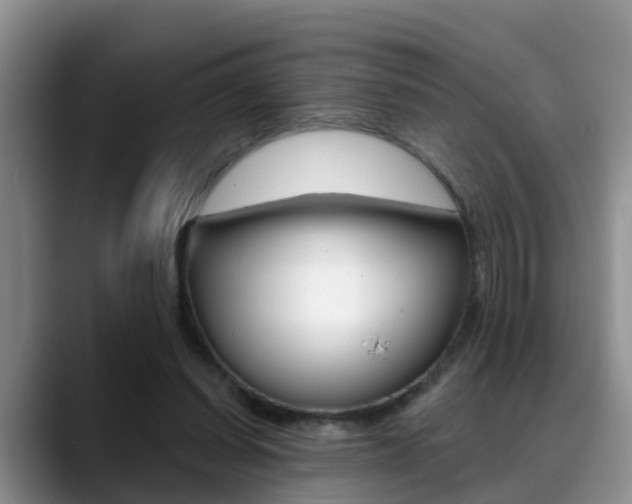 X0000089390254200706150937