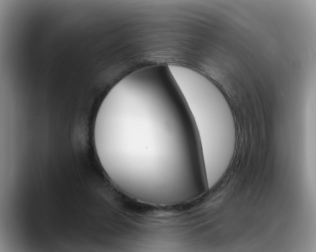 X0000089390255200706150937