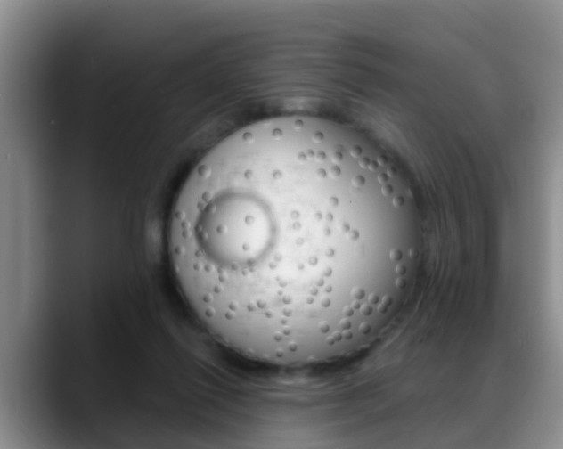 X0000089390262200706150937