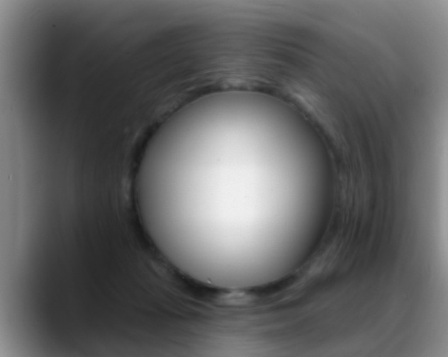 X0000089390269200706150937
