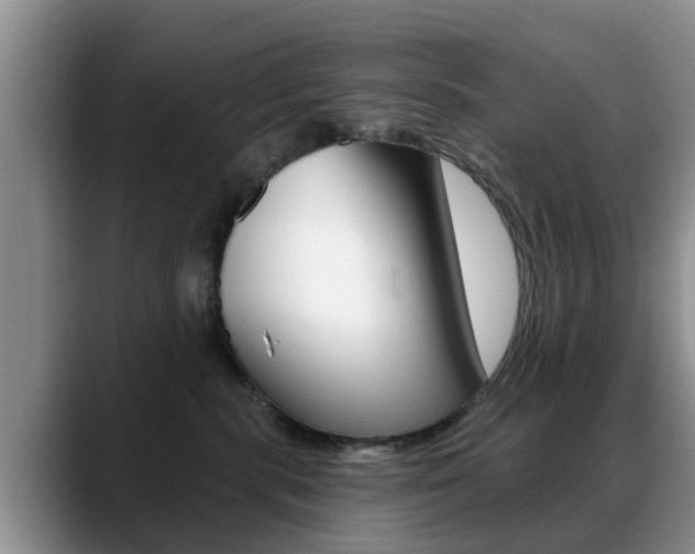 X0000089390283200706150937