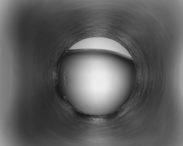 X0000089390284200706150937