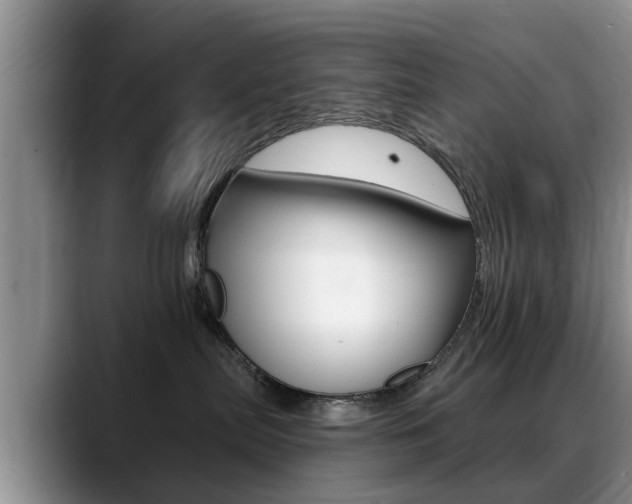 X0000089390287200706150937