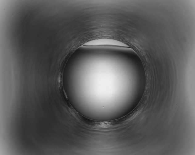 X0000089390288200706150937