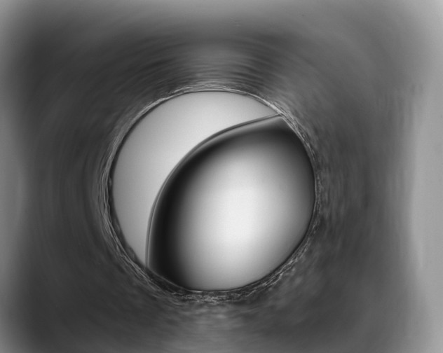 X0000089390289200706150937