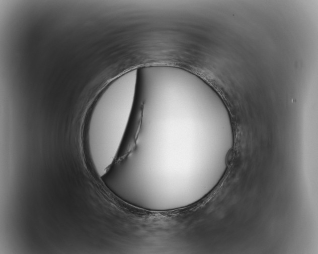 X0000089390290200706150937