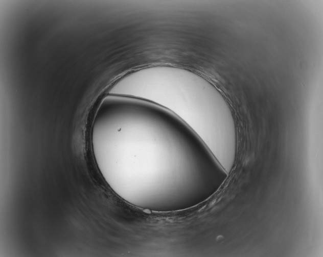 X0000089390291200706150937