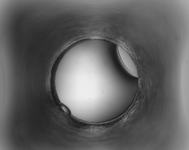 X0000089390292200706150937