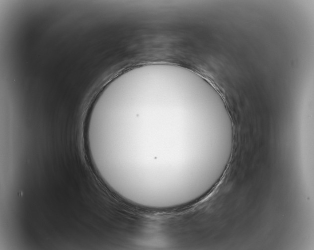 X0000089390293200706150937