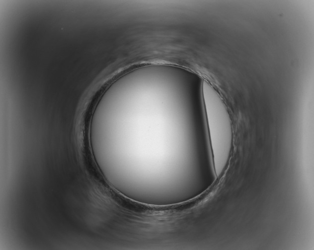 X0000089390295200706150937