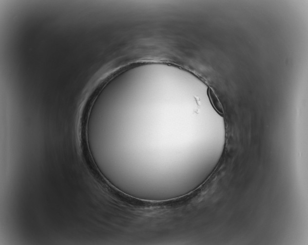 X0000089390296200706150937