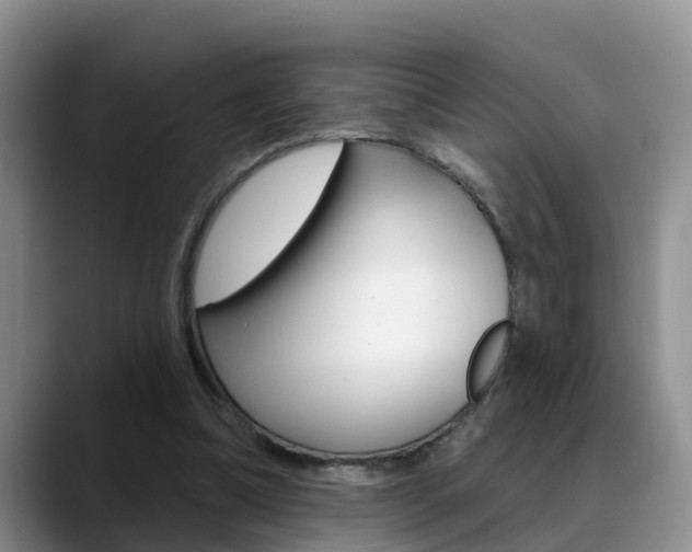 X0000089390298200706150937