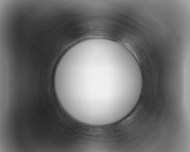 X0000089390301200706150937