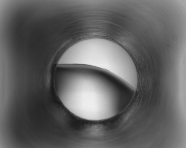 X0000089390304200706150936