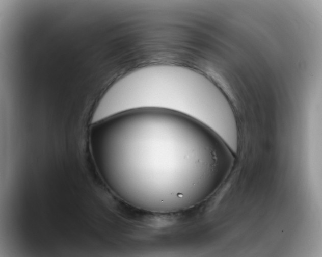 X0000089390305200706150936