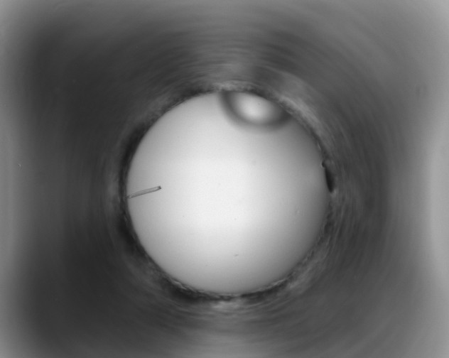 X0000089390306200706150936